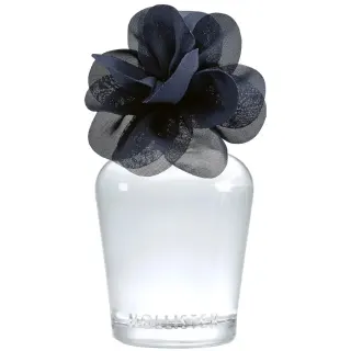 Hollister Addison EDP