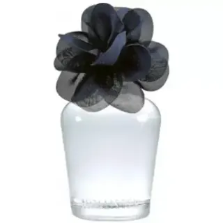 Hollister Addison EDP